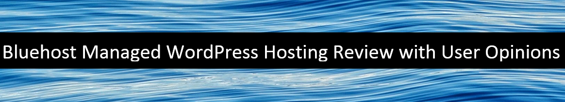 Bluehost Managed WordPress Hosting Review with User Opinions – 2022