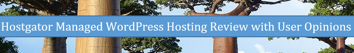 Hostgator Managed WordPress Hosting Review with User Opinions